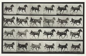 Conduite de voiture, planche 613 de 